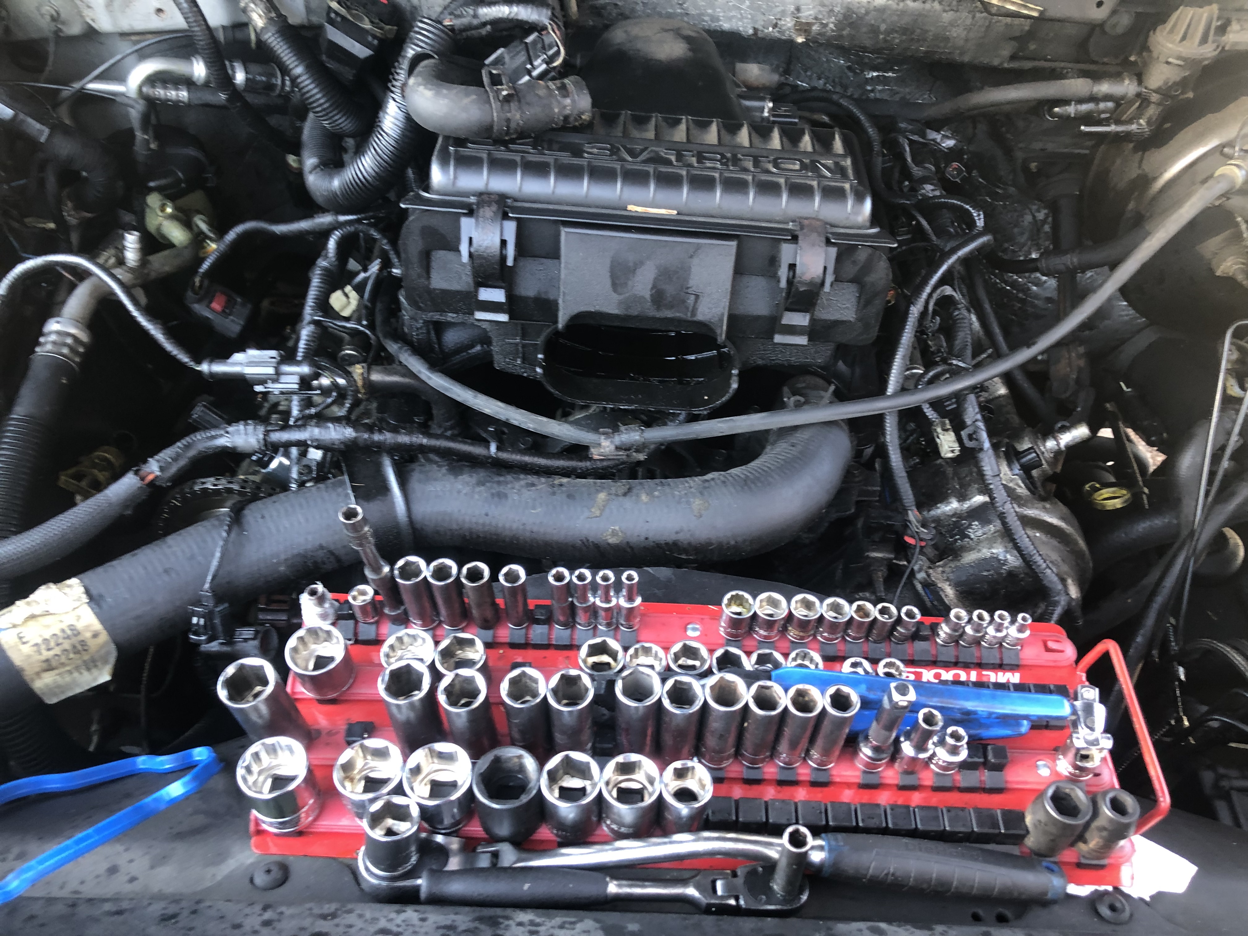 Engine bay during alternator swap