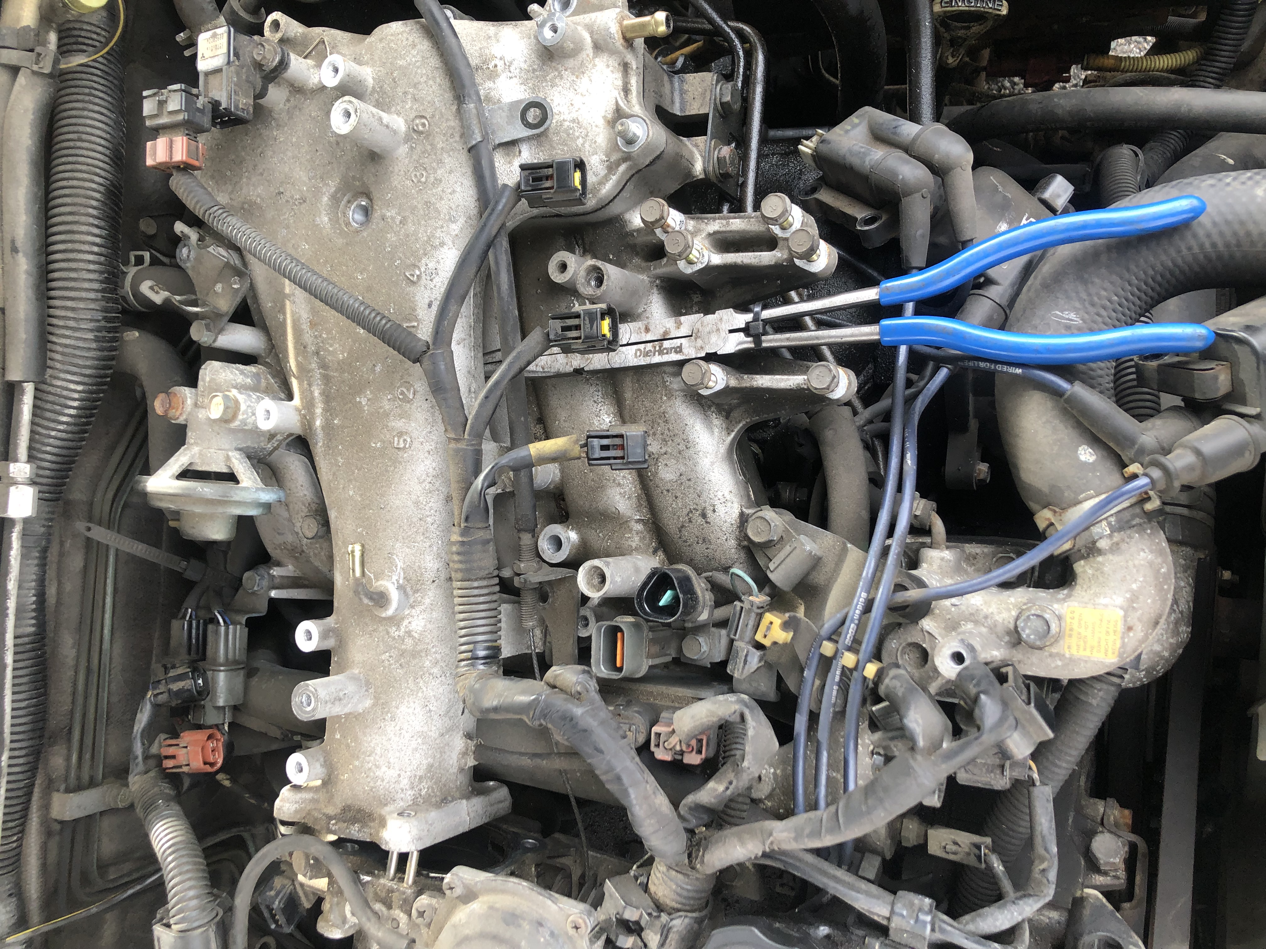Engine bay with blue pliers